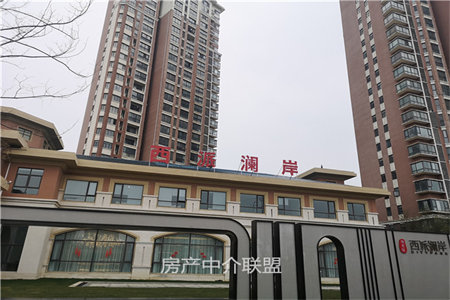 墙体裂缝怎么办